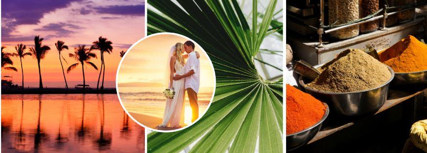 Destination Wedding Group Services background